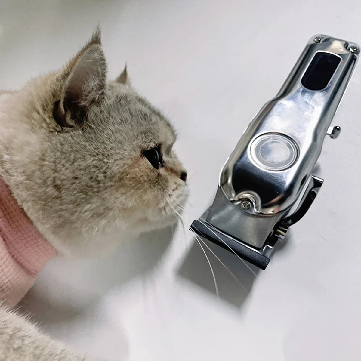Professional Dog Hair Shaver Pet Electric Clipper Cat Hair Clipper Set Hair Clipper Pet Supplies Trimming Tools Low Noice