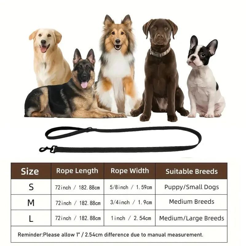 6-Foot Reflective Nylon Dog Leash with Soft Padded Handle and D-Ring Suitable for Walking and Training, Small to Large Dog Leash