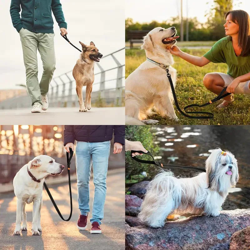 6-Foot Reflective Nylon Dog Leash with Soft Padded Handle and D-Ring Suitable for Walking and Training, Small to Large Dog Leash