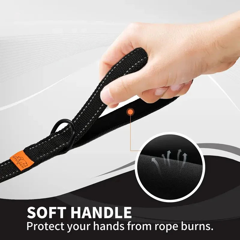 6-Foot Reflective Nylon Dog Leash with Soft Padded Handle and D-Ring Suitable for Walking and Training, Small to Large Dog Leash