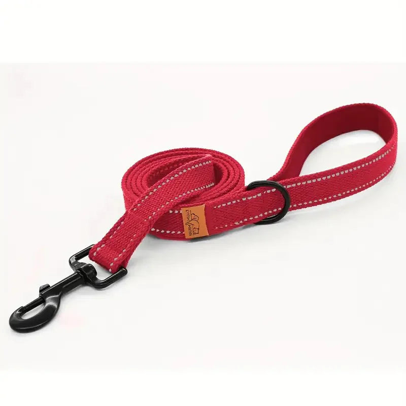 6-Foot Reflective Nylon Dog Leash with Soft Padded Handle and D-Ring Suitable for Walking and Training, Small to Large Dog Leash