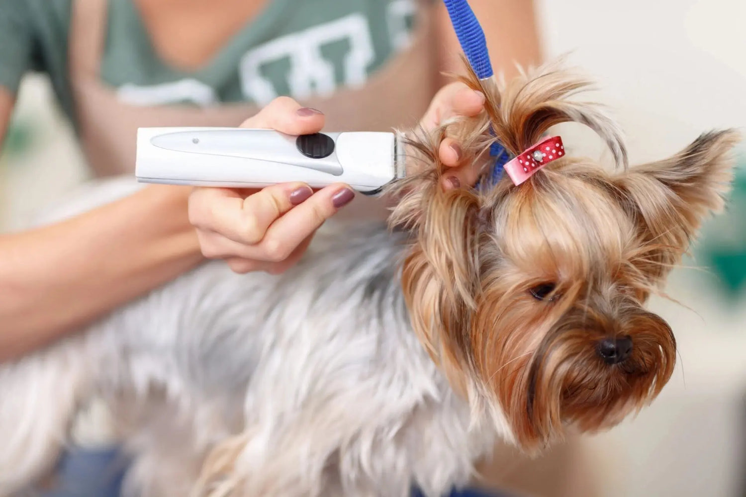 Grooming Supplies