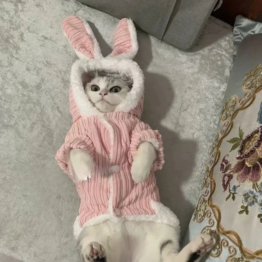 Warm Winter Clothes for Kittens Cute Bunny Appearance Cat Clothes Puppy Cute Coat Cats Dog Supplies Pet Products Home Garden