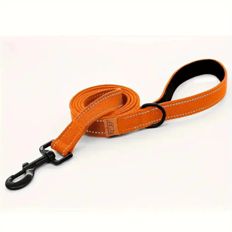 6-Foot Reflective Nylon Dog Leash with Soft Padded Handle and D-Ring Suitable for Walking and Training, Small to Large Dog Leash