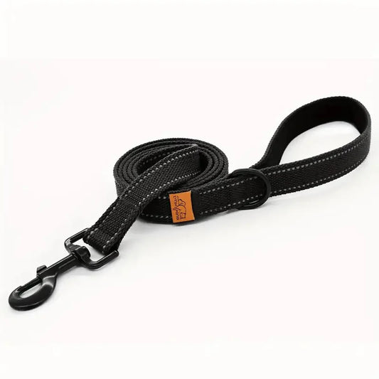 6-Foot Reflective Nylon Dog Leash with Soft Padded Handle and D-Ring Suitable for Walking and Training, Small to Large Dog Leash