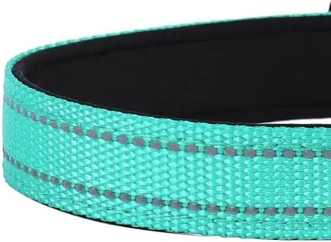 Reflective Dog Collar for Medium Dogs – Adjustable Soft Collar with Buckle & Teal Color